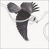 Gaza - He Is Never Coming Back